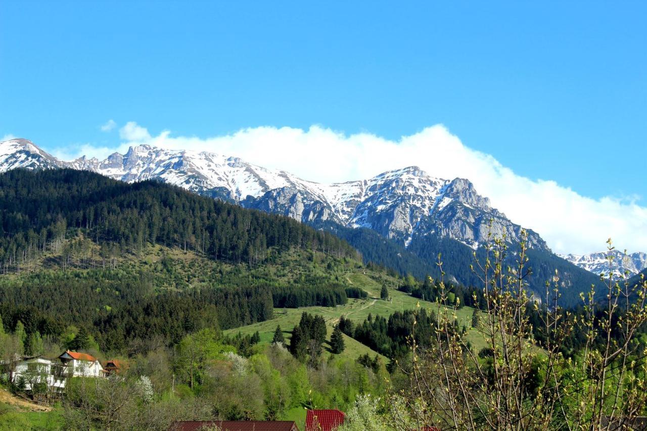 Milea'S Guesthouse Bran  Dış mekan fotoğraf