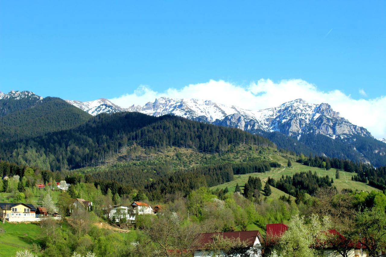 Milea'S Guesthouse Bran  Dış mekan fotoğraf