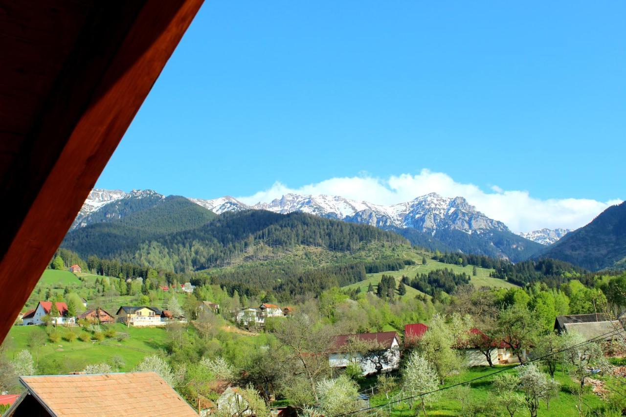 Milea'S Guesthouse Bran  Dış mekan fotoğraf