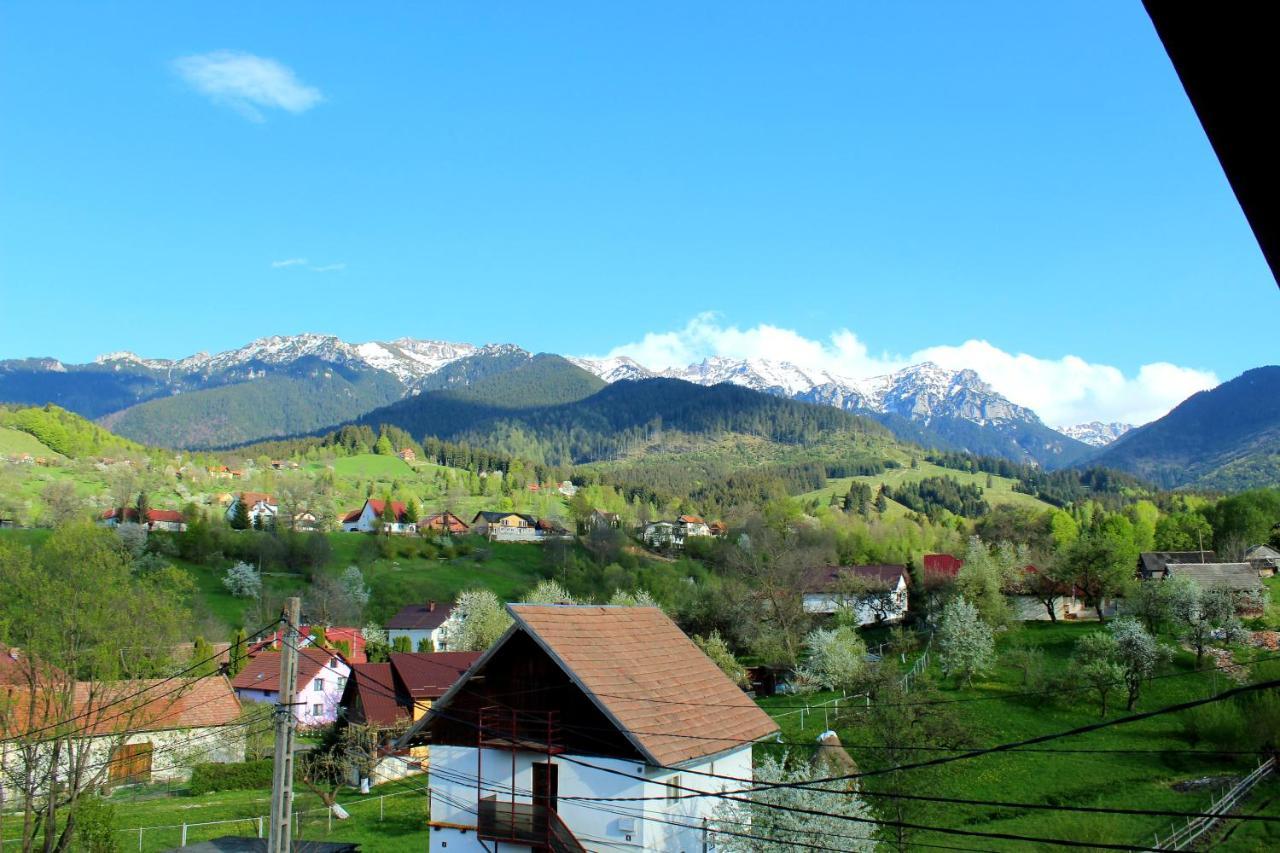 Milea'S Guesthouse Bran  Dış mekan fotoğraf
