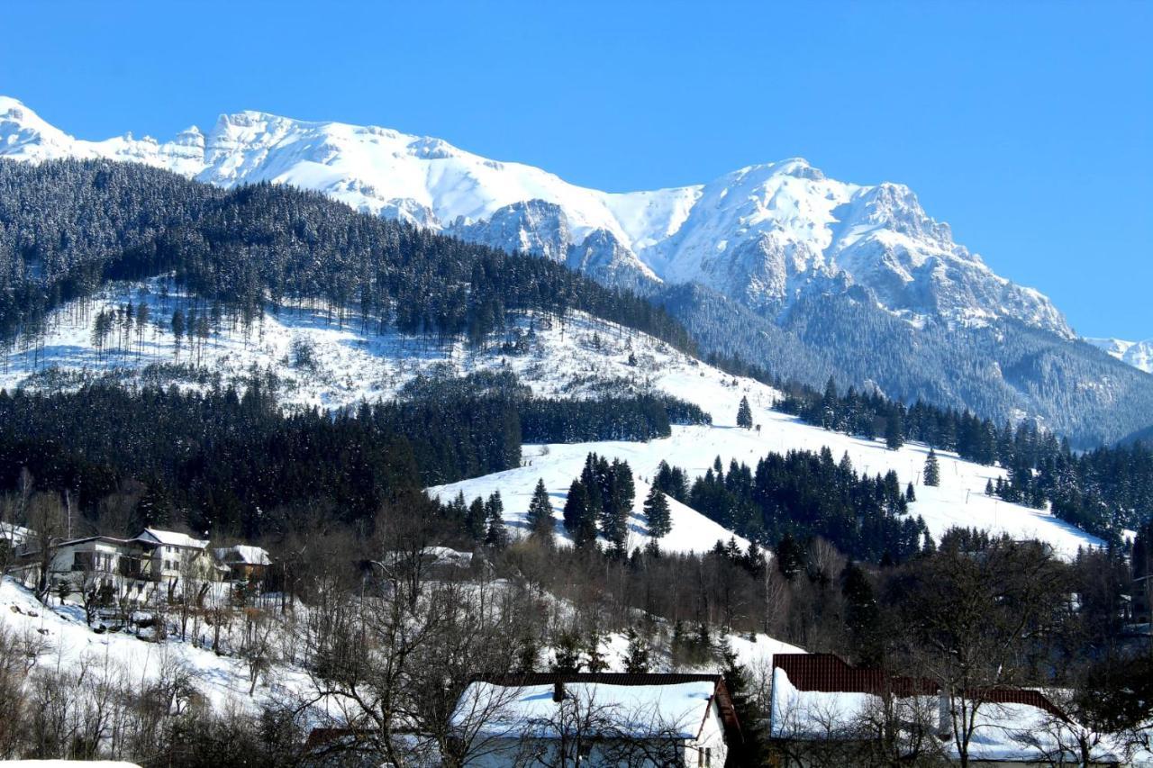 Milea'S Guesthouse Bran  Dış mekan fotoğraf