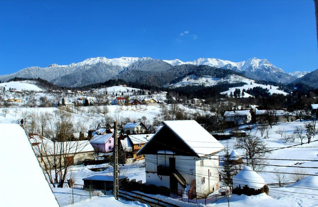 Milea'S Guesthouse Bran  Dış mekan fotoğraf