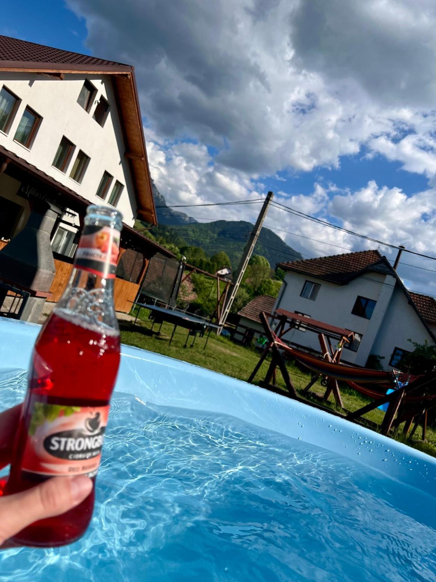 Milea'S Guesthouse Bran  Dış mekan fotoğraf